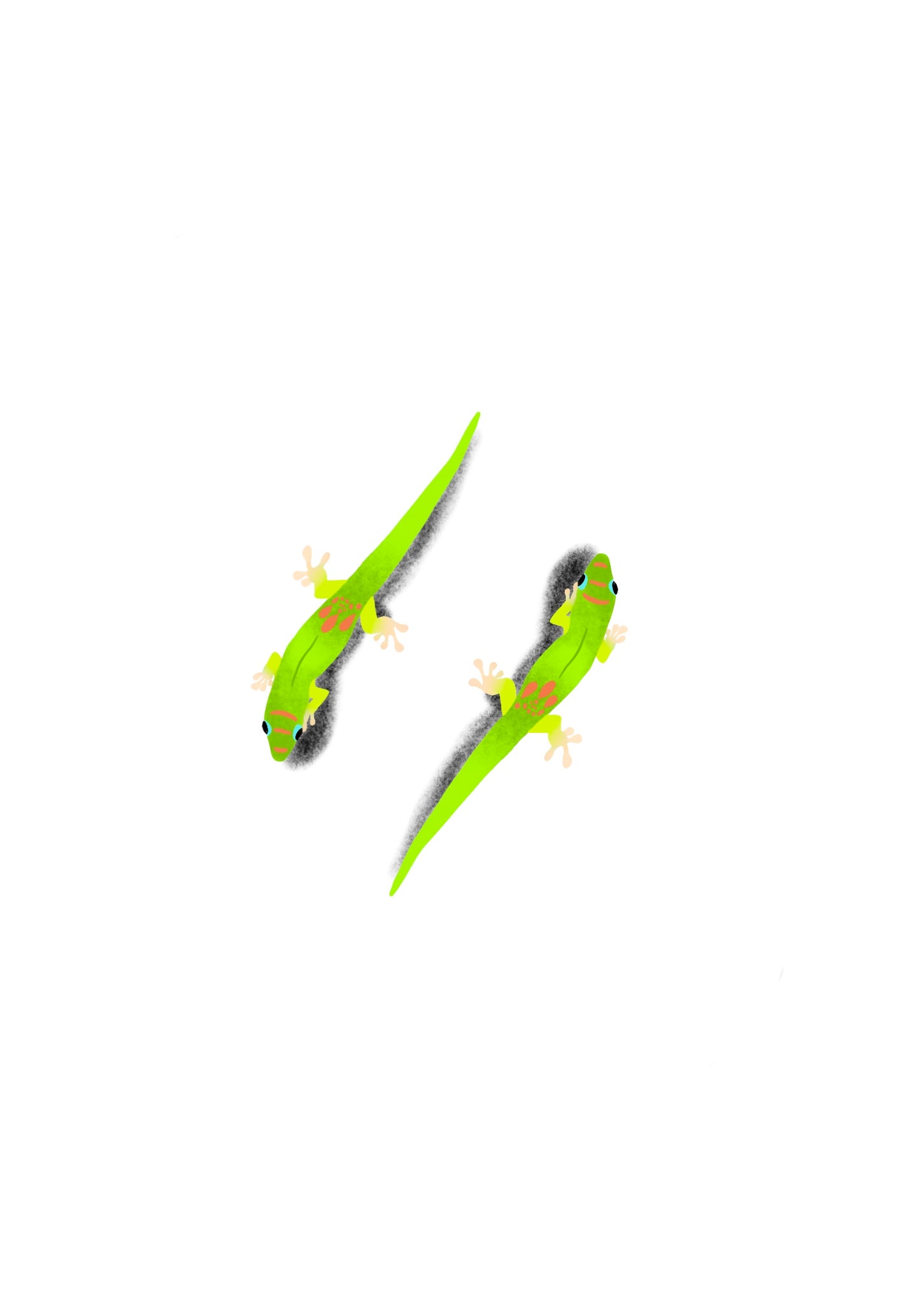 Yin & Yang Gecko